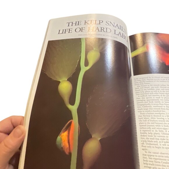 Audubon Nature Yearbook 1987 Book By Grolier Books Nature Photography & Wildlife - Picture 6 of 9